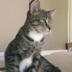 Meet your Posher, Cheryl